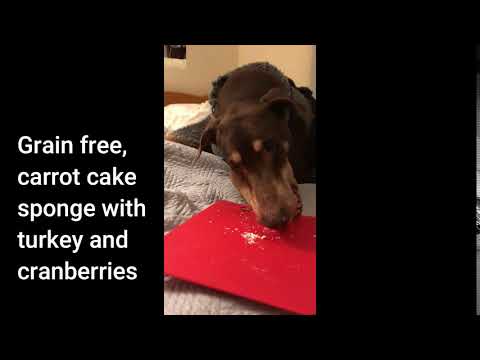 Snowman Christmas Cake for Dogs