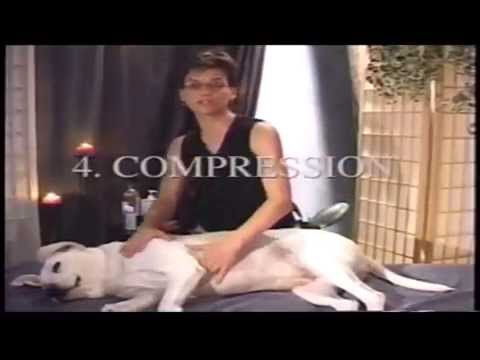 At Home Canine Massage Demonstration