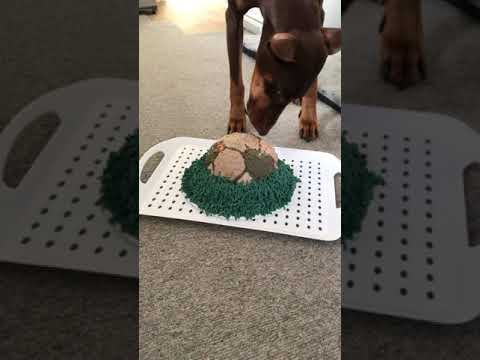 Make A Football Cake For Your Dog Using A LickiMat Wobble - Canine ...