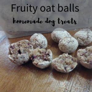 Fruity oat balls recipe - homemade dog treats