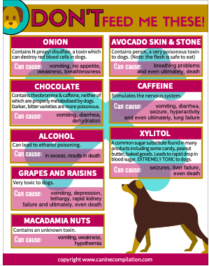 Chart of poisonous food your dog shouldn't eat