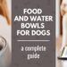 Which Dog Bowl Is Best For Your Dog?
