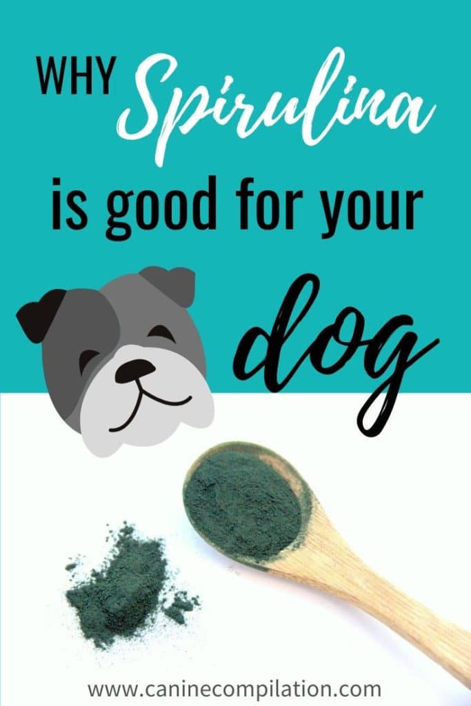 Why Spirulina is good for your dog