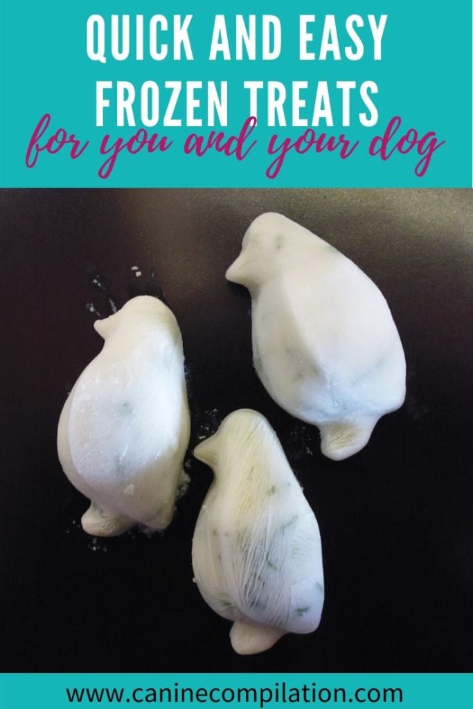 quick and easy frozen treats for your dog and you!