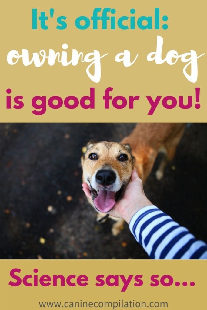 owning a dog is good for you!