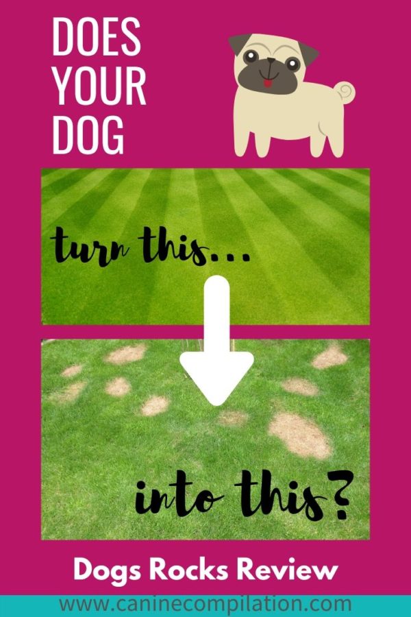 Dog Rocks Review Do Dog Rocks Work To Stop Urine Burn On Lawns? Canine Compilation