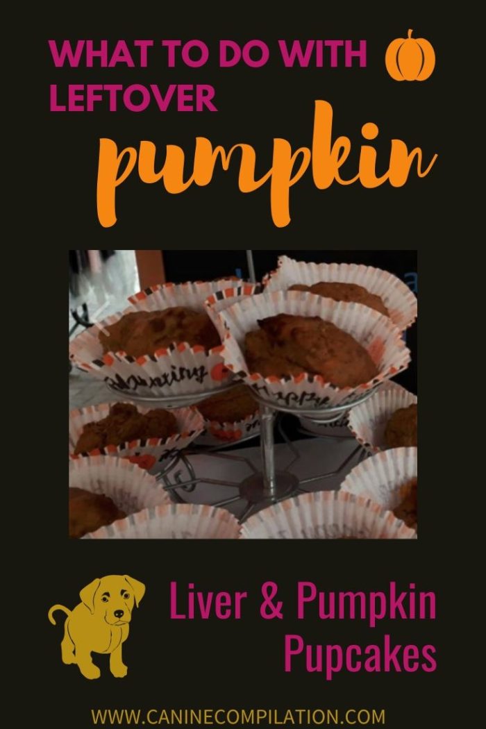 View of Liver and Pumpkin Pupcakes Dog Treat Recipe - Canine Compilation