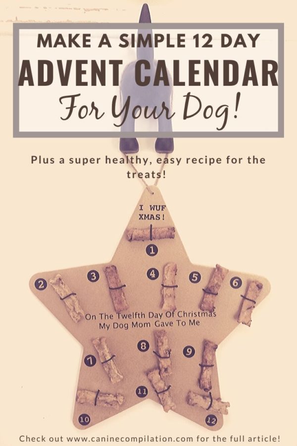 12 Days of Christmas Advent Calendar for Dogs! Canine Compilation