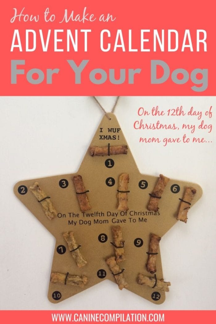 12 Days of Christmas Advent Calendar for Dogs! Canine Compilation
