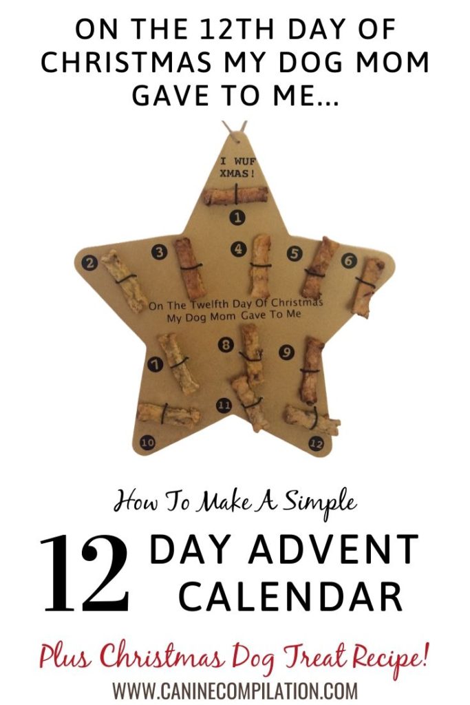 How to make a DIY 12 day advent calendar for dogs