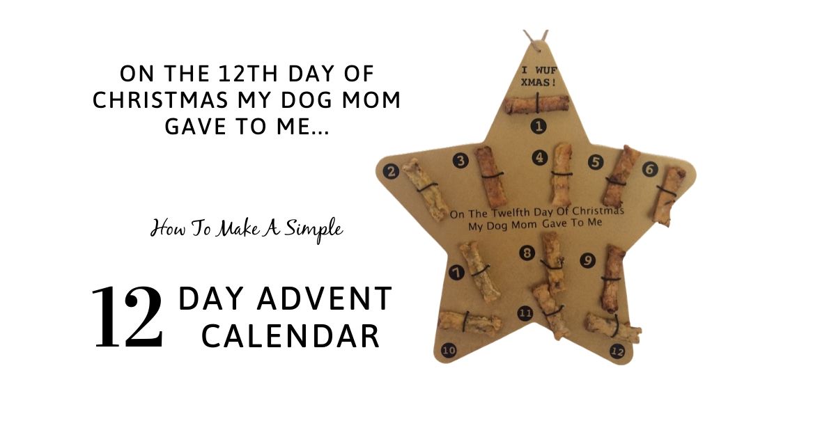 12 Days of Christmas Advent Calendar for Dogs! - Canine Compilation