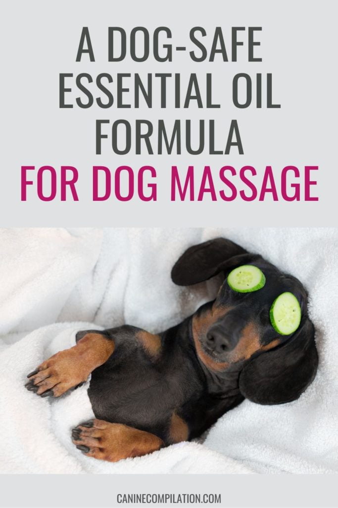 A DOG-SAFE ESSENTIAL OIL FORMULA FOR DOG MASSAGE