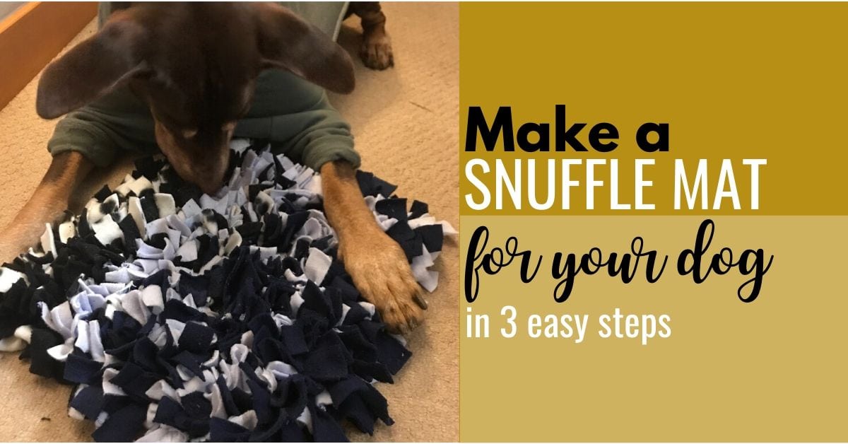How To Make A Snuffle Mat For Your Dog - Canine Compilation