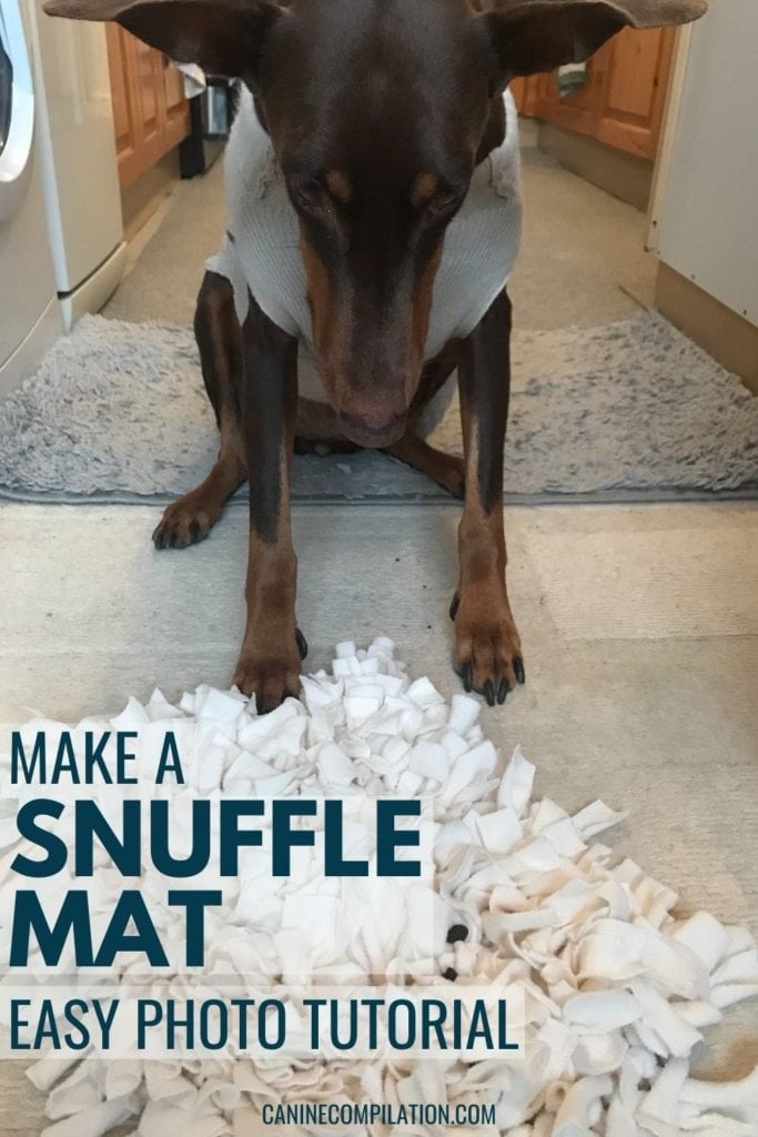 Under $10 DIY Snuffle Mat for Dogs: Easy Canine Enrichment - Wear Wag Repeat