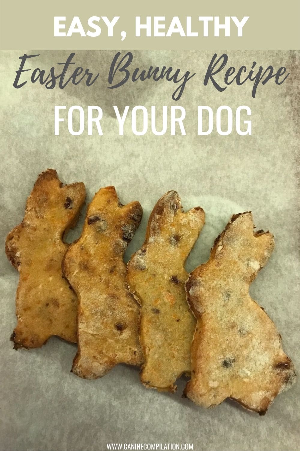 Easy Recipe For Healthy Easter Dog Treats With Turkey Canine Compilation