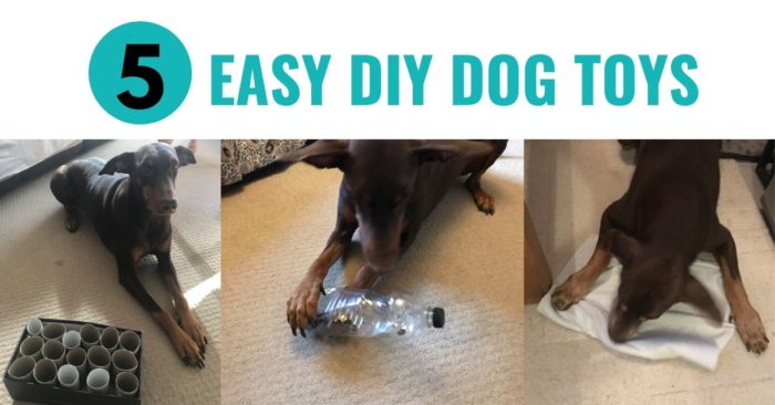 5-easy-diy-dog-toys-to-make-from-rubbish-canine-compilation