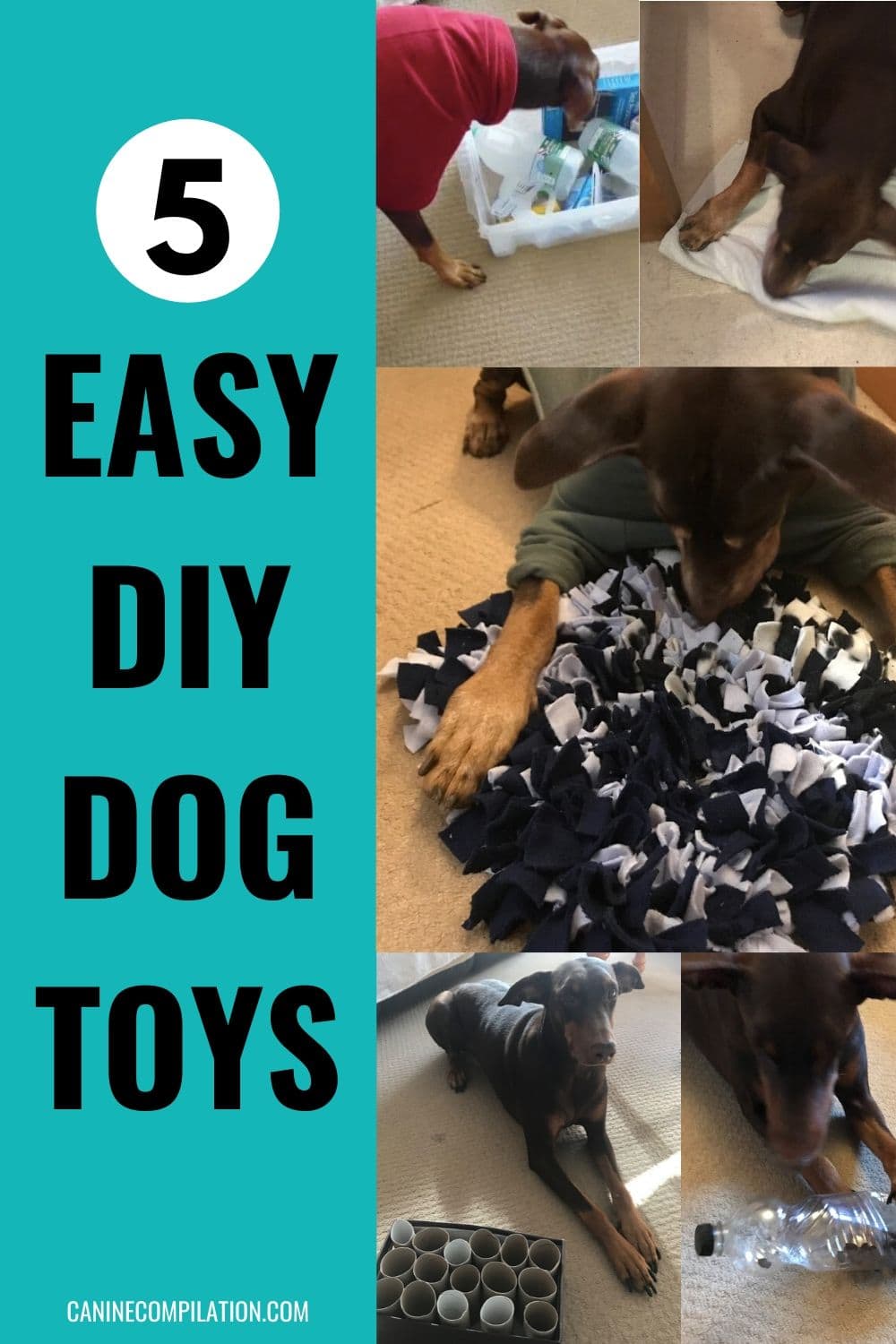 5 Easy DIY Dog Toys To Make From Rubbish! Canine Compilation