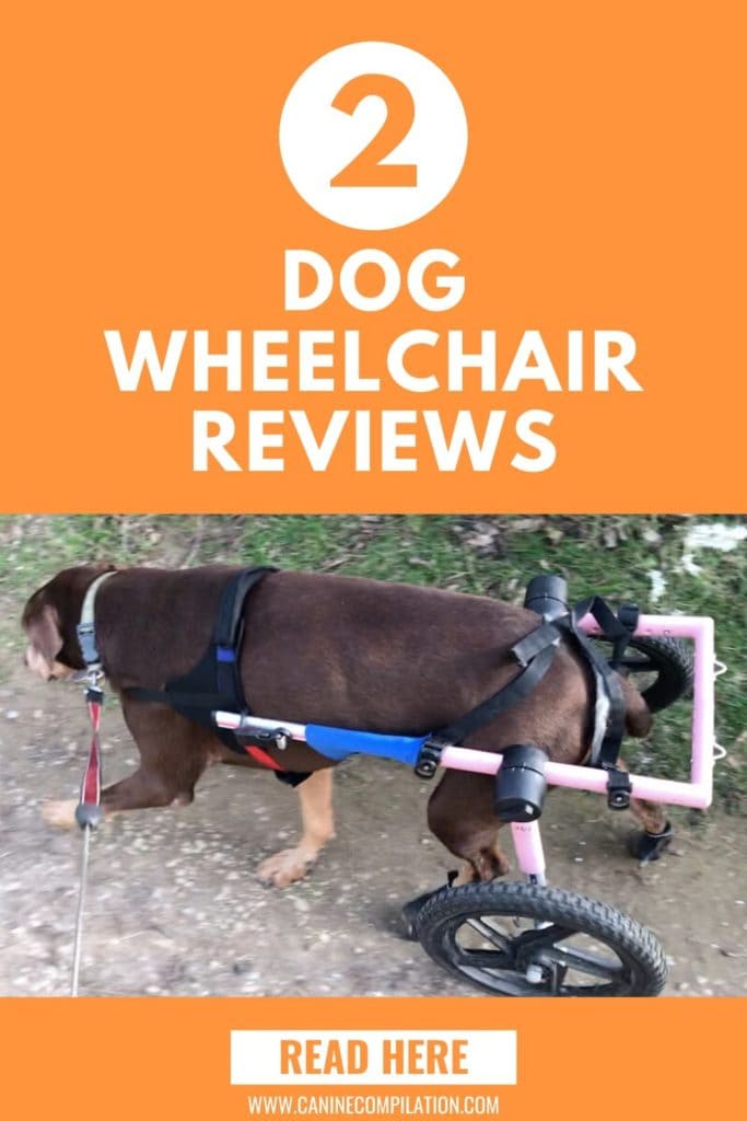 who invented the dog wheelchair