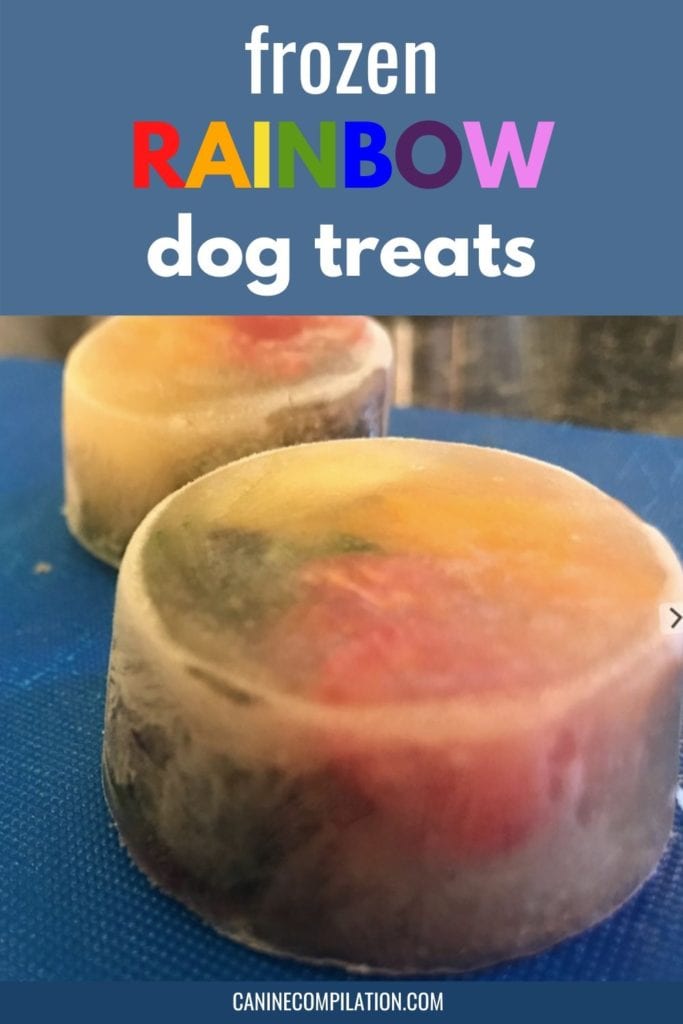 frozen rainbow dog treats