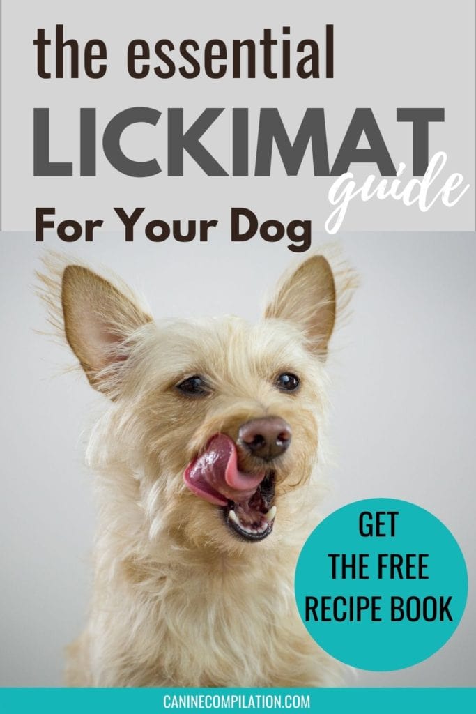 7 Delicious Lickimat Toppings for Dogs and Puppies – Sprocker Lovers