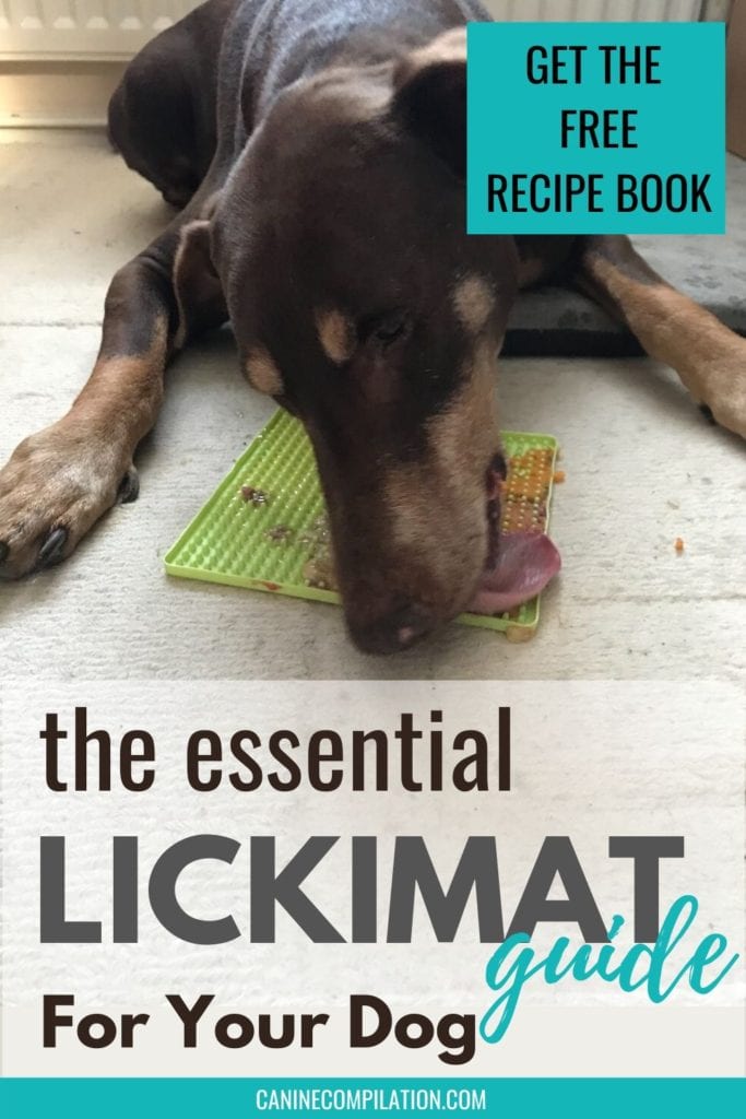 7 Delicious Lickimat Toppings for Dogs and Puppies – Sprocker Lovers