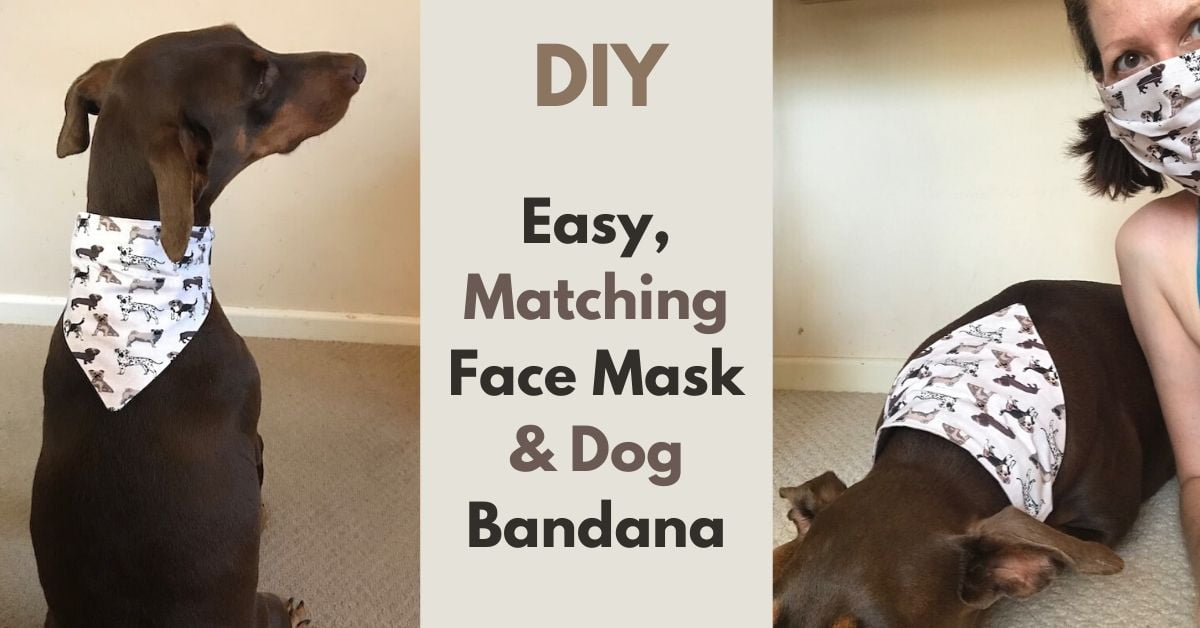 Matching Human & Dog Bandana & Face Mask - Snakeskin