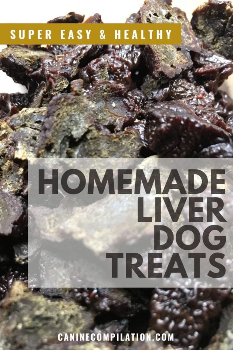 Homemade Dehydrated Liver Dog Treats Canine Compilation