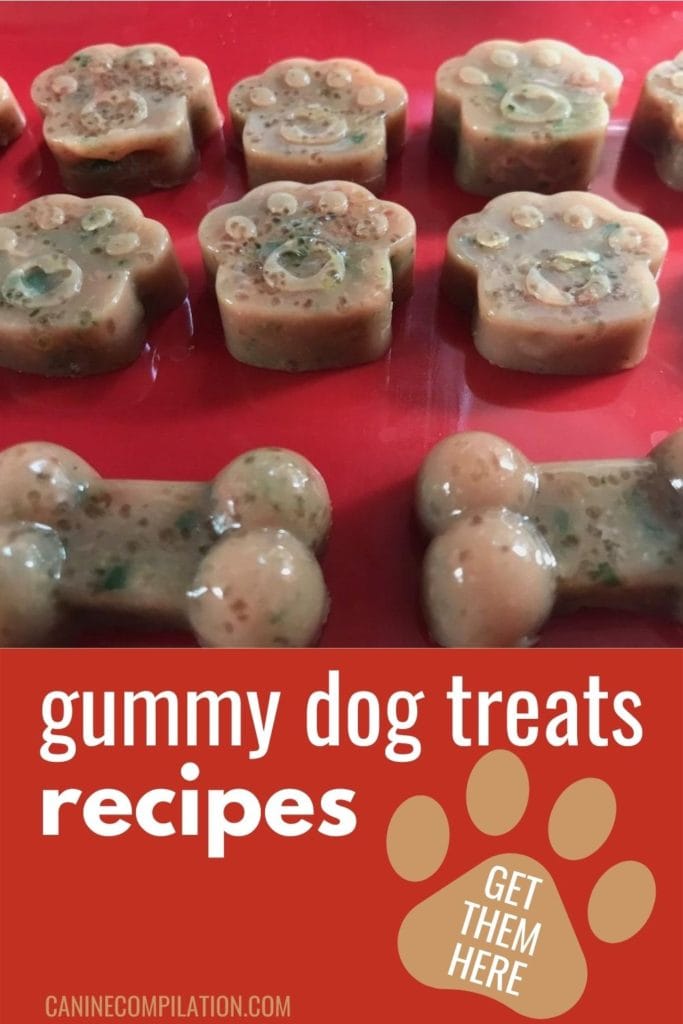 get gummy dog treats recipes - gummy dog treats in paw and bone shape