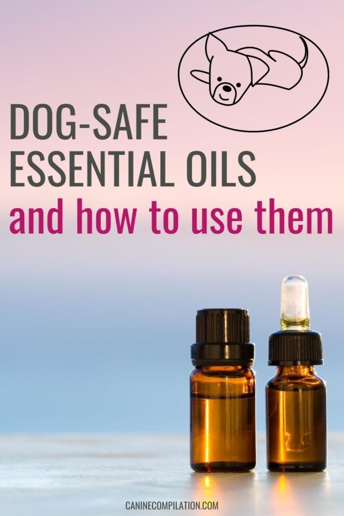 are young living essential oils safe for dogs
