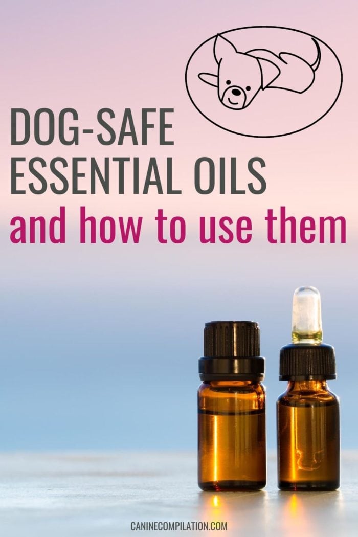 Essential Oils For Dogs Canine Compilation