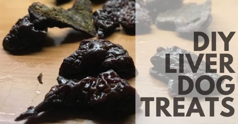 Homemade Dehydrated Liver Dog Treats - Canine Compilation