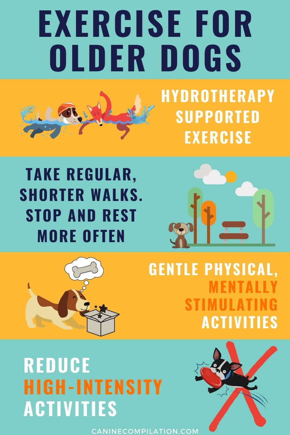 exercise-for-older-dogs-and-dogs-with-arthritis-canine-compilation