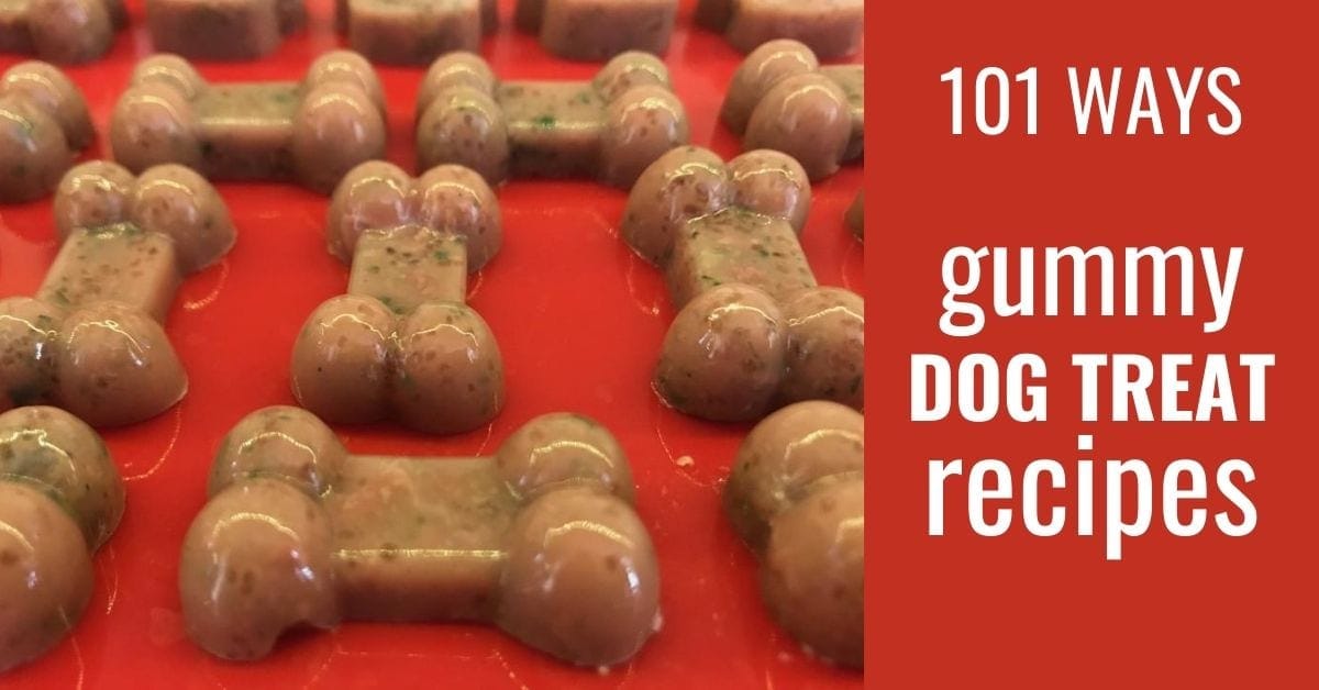 Gummy Dog Treat Recipe