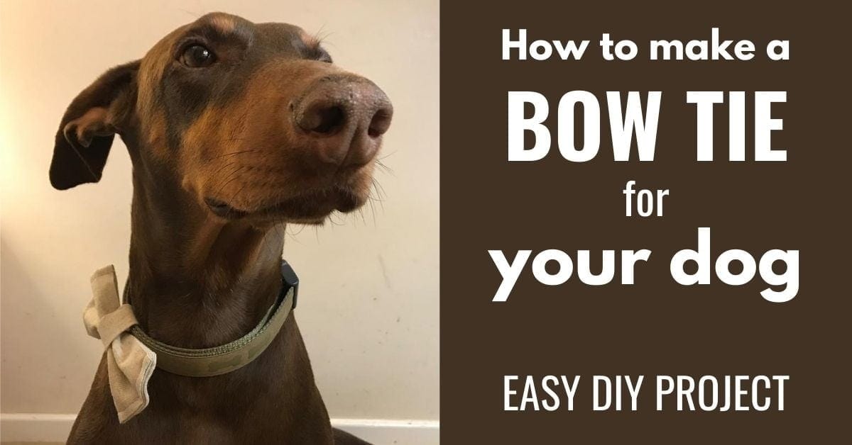 How To Make A Bow Tie For Dog