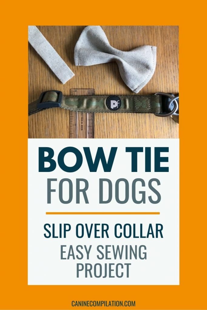Photo of a ruler, dog collar and bow tie with text - bow tie for dogs easy DIY project