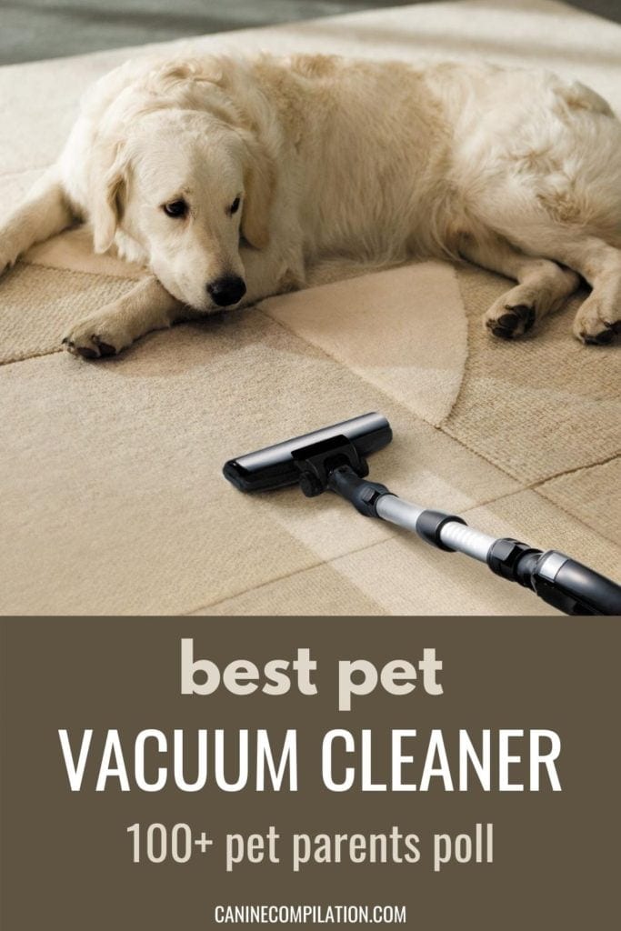 Best UK Vacuum Cleaner For Dogs Canine Compilation