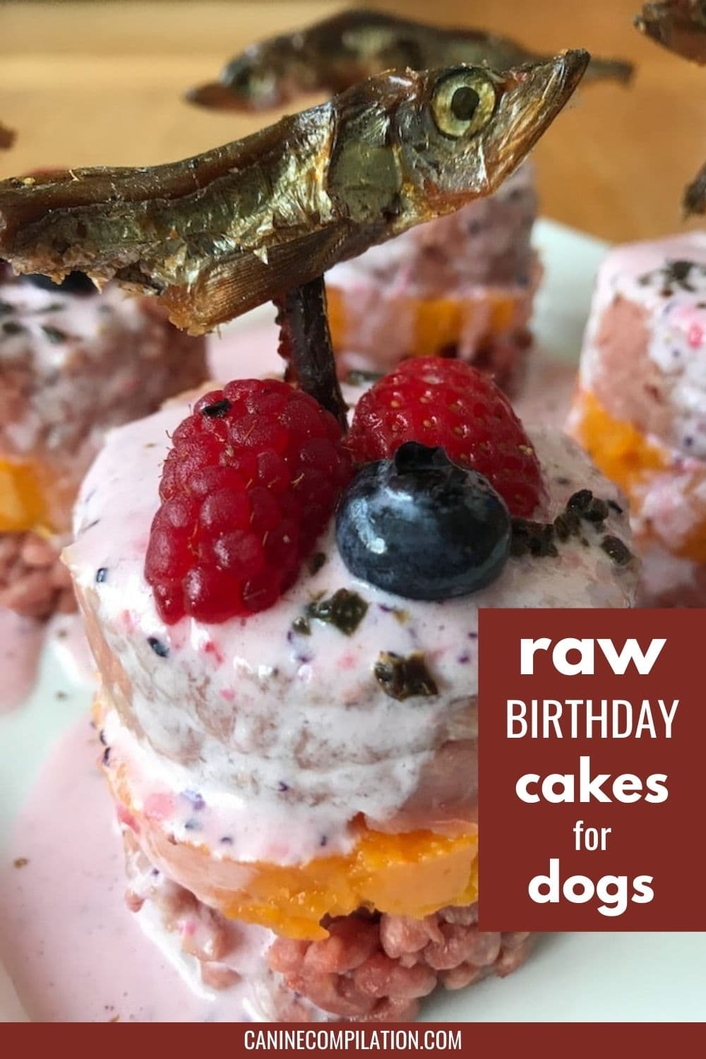 best-birthday-cakes-for-raw-fed-dogs-tutorial-canine-compilation