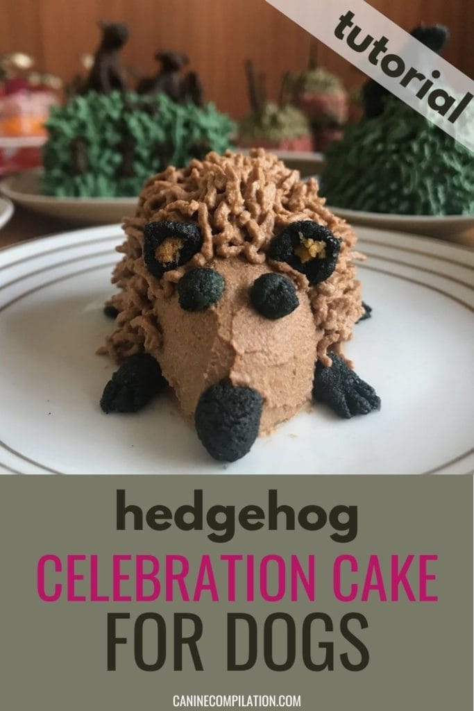 hedgehog celebration cake for dogs - tutorial