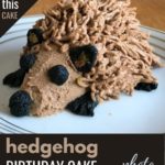 hedgehog birthday cake for dogs - photo tutorial