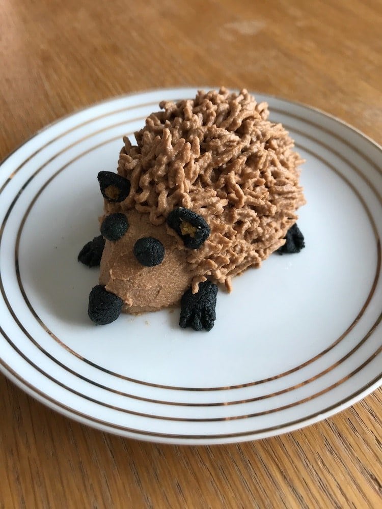 healthy, hedgehog shaped cake for dogs