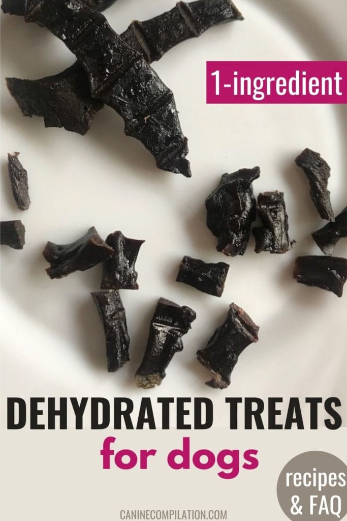 1-ingredient dehydrated treats for dogs - recipes and FAQ