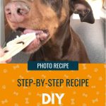 Image of a dog eating a yak chew, with text - DIY Yak Chew for dogs, with cranberries - photo recipe