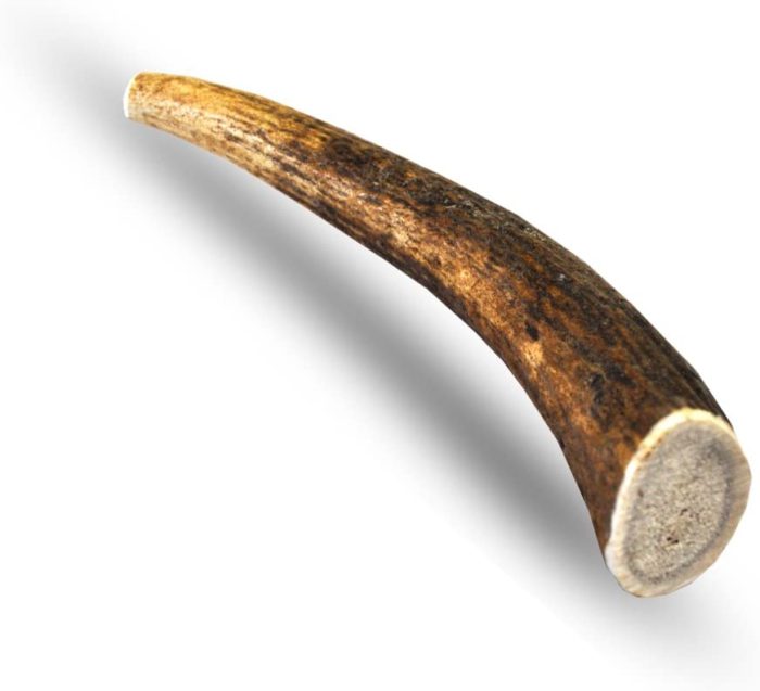 can-my-dog-eat-marrow-bones-are-they-safe-for-dogs-canine-compilation