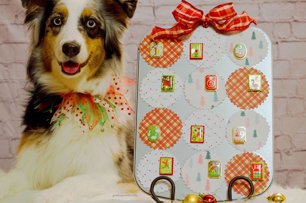 reverse-dog-advent-calendar and image of dog with calendar