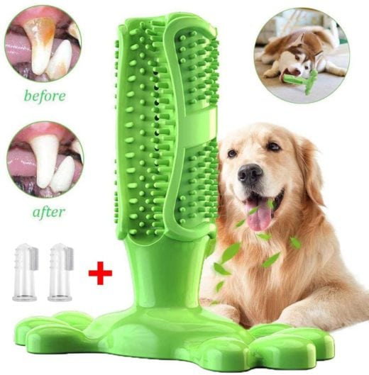 Easy Options For Cleaning Dogs Teeth Canine Compilation