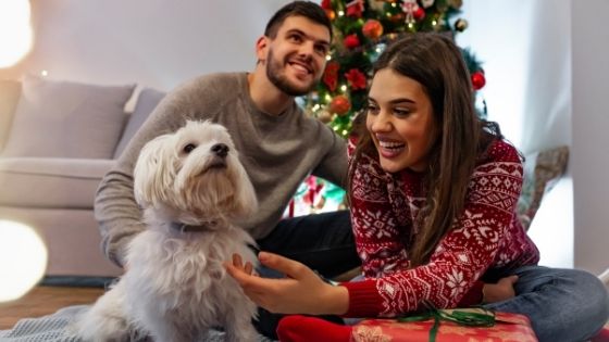 dog family christmas