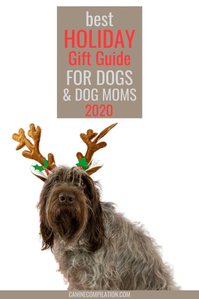 A dog with antler ears and text Best gift guide for dogs and dog moms 2020