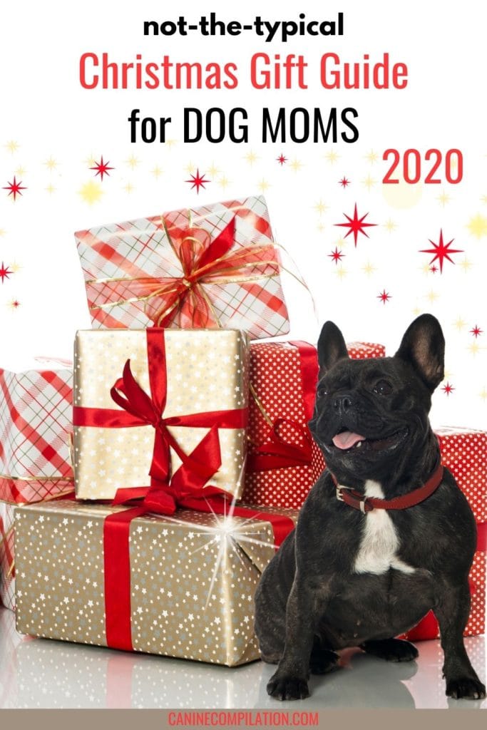 image of dog and gifts with text Not-so-typical Christmas gift guide for dog moms 2020