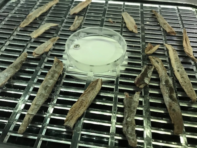 Dehydrated anchovies
