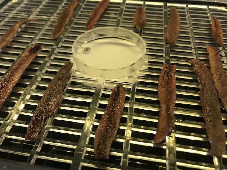 Dehydrating anchovies